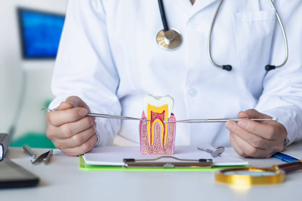Best Emergency Dental Care for Broken or Chipped Teeth in Frazier Park, CA